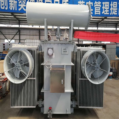 贵定10KV油浸式变压器